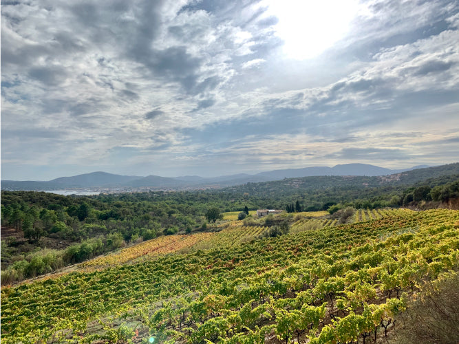 Clos des B