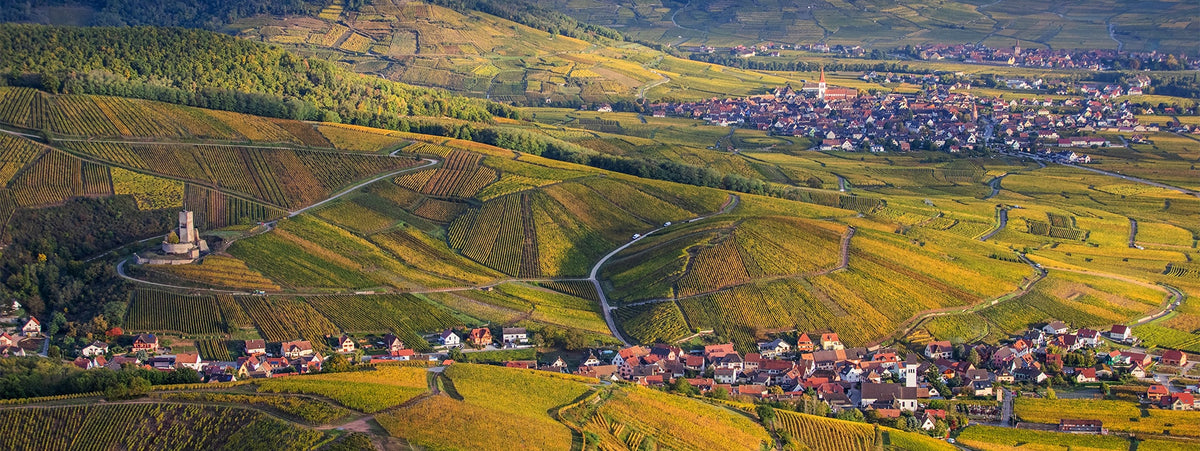 Elsass