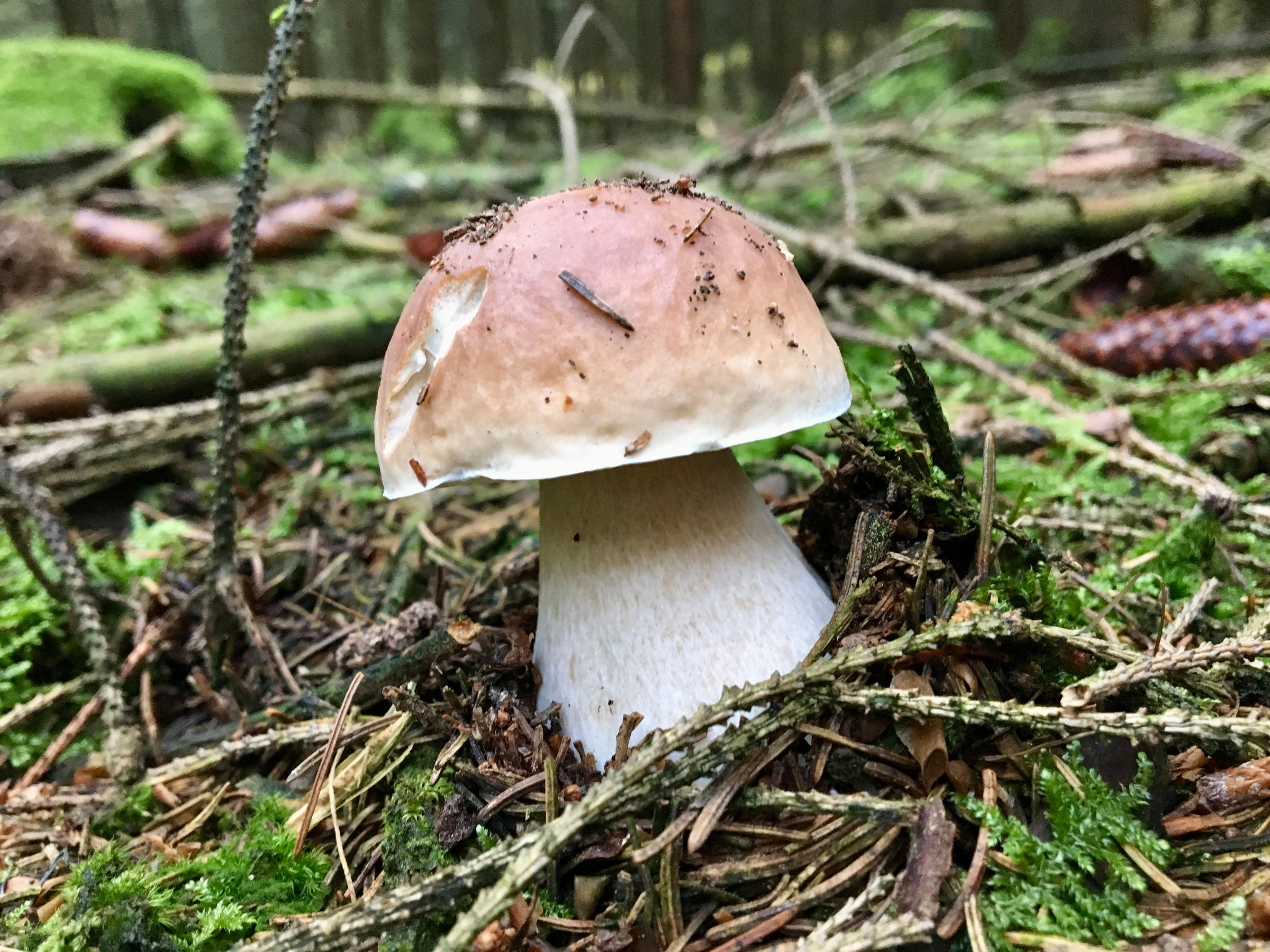 Weine für den Herbst