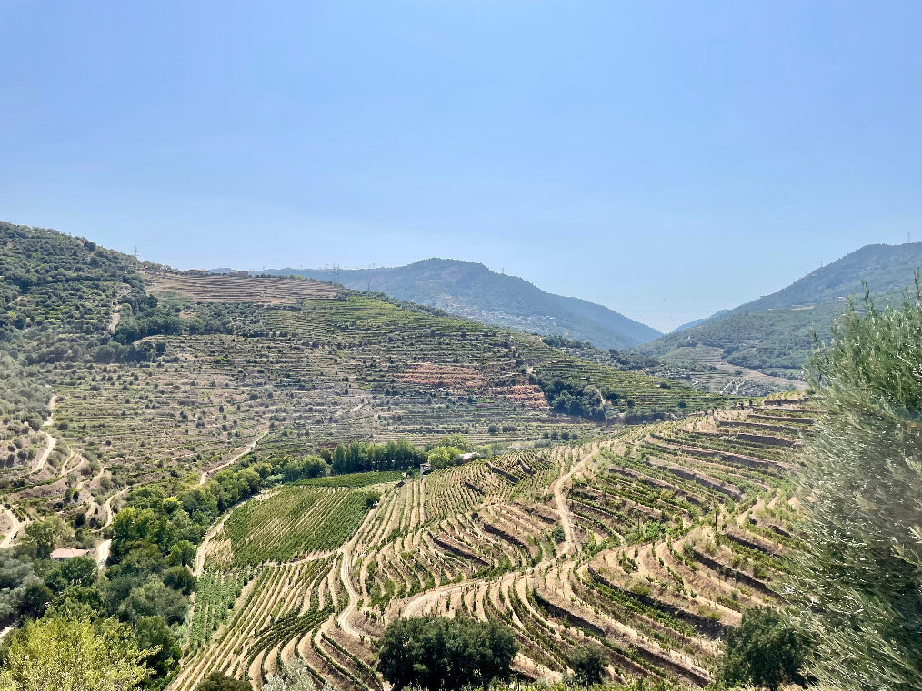 Douro