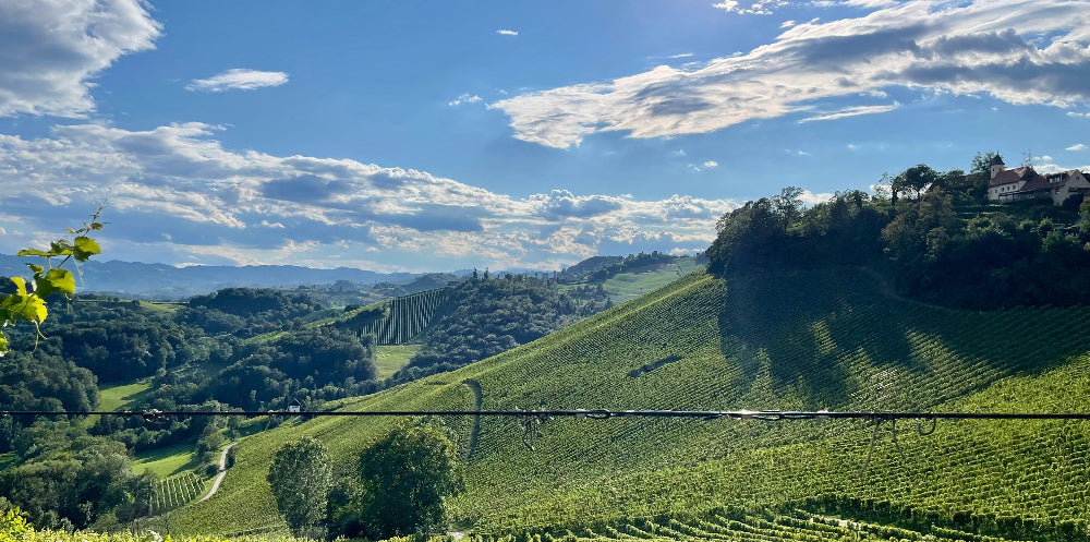 Südsteiermark