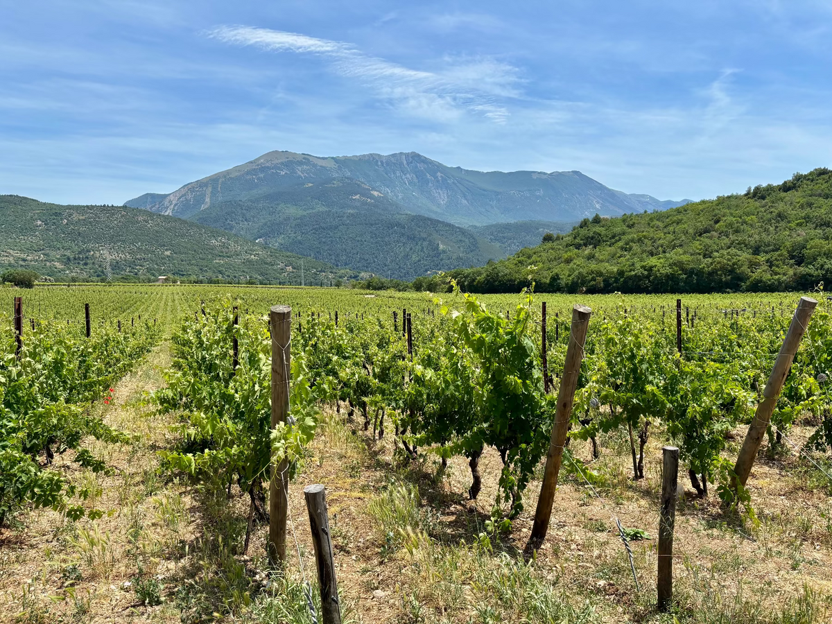 Valle Reale