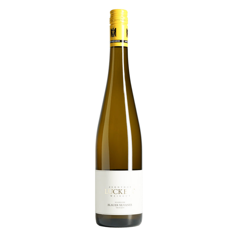 Luckert Blauer Silvaner 2024