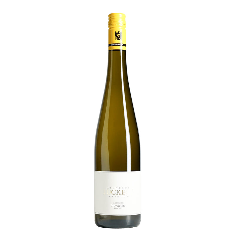 Luckert Silvaner Sulzfeld 2024